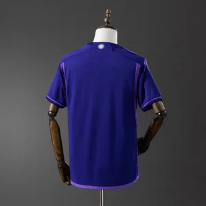 2022 Argentina World Cup jersey Away