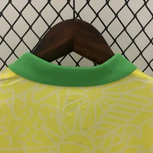 2024 Brazil Jersey