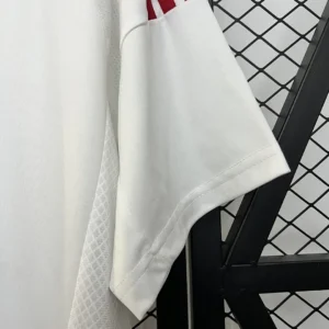 2024 Japan Special Edition Jersey