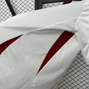2024 Japan Special Edition Jersey