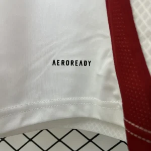 2024 Japan Special Edition Jersey