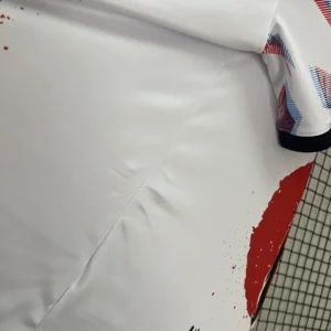 2024 Japan Special Edition Jersey