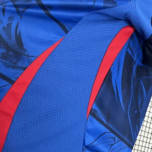 2024 Japan Special Edition Jersey