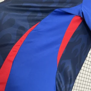 2024 Japan Special Edition Jersey