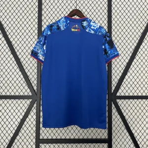 2024 Japan Special Edition Jersey