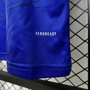 2024 Japan Special Edition Jersey