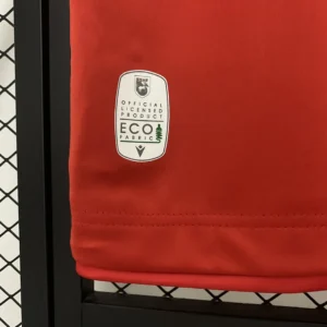 2025 Albania Jersey