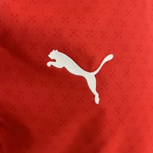 2025 Player Portugal Home Jersey