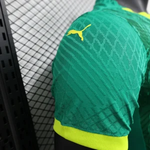 2025 Player Senegal Green Jersey