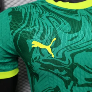 2025 Player Senegal Green Jersey
