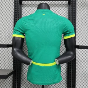 2025 Player Senegal Green Jersey