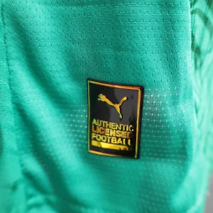 2025 Player Senegal Green Jersey
