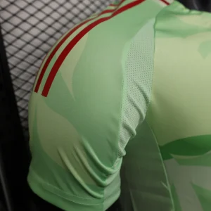 2025 Player Italy Training Jersey