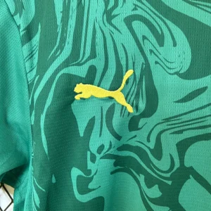 2025 Senegal Jersey