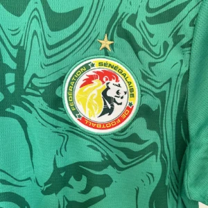 2025 Senegal Jersey