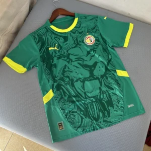 2025 Senegal Jersey