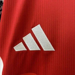 2024/2025 Arsenal adidas Pre Match Jersey