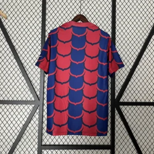 2024/2025 Barcelona Training Wear Jersey