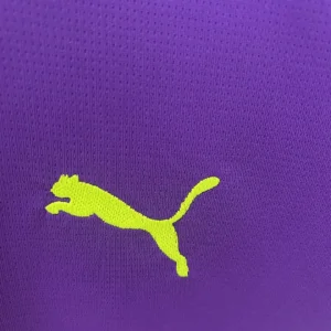 2024/2025 Goalkeeper Dortmund Purple Jersey