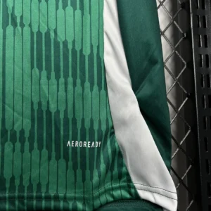 2024/2025 Italy Especial Jersey