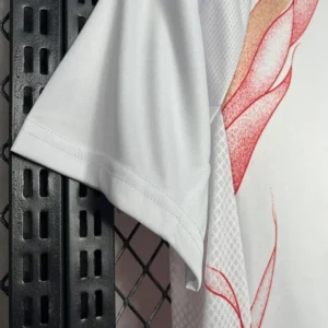 2024/2025 Japan Jersey
