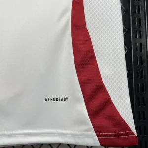 2024/2025 Japan Jersey