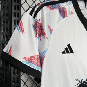 2024/2025 Japan Especial Jersey