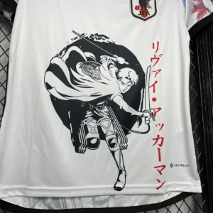 2024/2025 Japan Especial Jersey