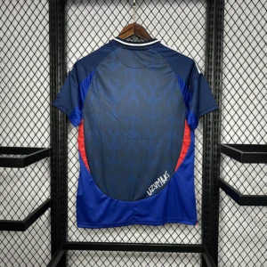 2024/2025 Japan Especial Jersey
