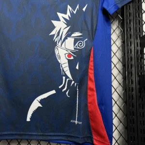 2024/2025 Japan Especial Jersey