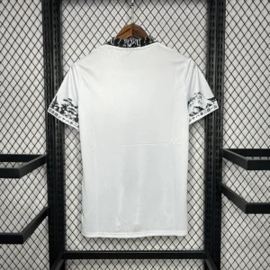 2024/2025 Japan Especial Jersey