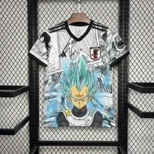 2024/2025 Japan Especial Jersey