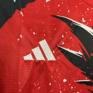 2024/2025 Japan Especial Jersey