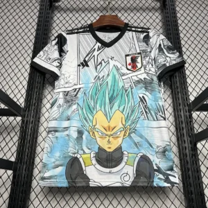 2024/2025 Japan Especial Jersey
