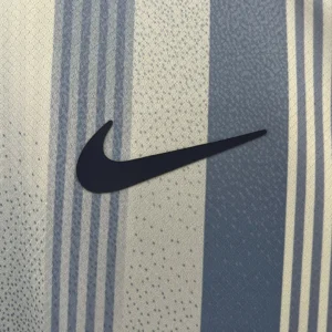 2024/2025 Tottenham Away Jersey