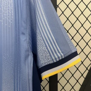 2024/2025 Tottenham Away Jersey