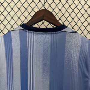 2024/2025 Tottenham Away Jersey