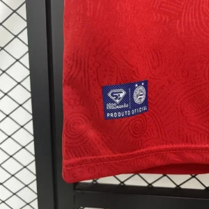 2025/2026 Bahia Goalkeeper Red Jersey