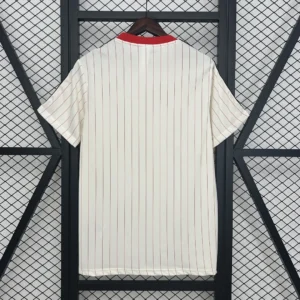 2025/2026 Benfica Retro Special Edition Jersey