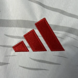 2025/2026 Benfica Special Edition Jersey