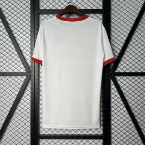 2025/2026 Benfica Special Edition Jersey