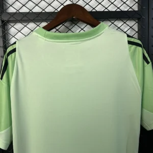 2025/2026 Benfica training goalkeeper Jersey