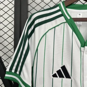 2025/2026 Celtic Special Edition Jersey
