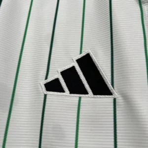 2025/2026 Celtic Special Edition Jersey