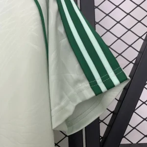2025/2026 Celtics Special Edition Jersey