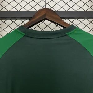 2025/2026 Celtics Special Edition Jersey
