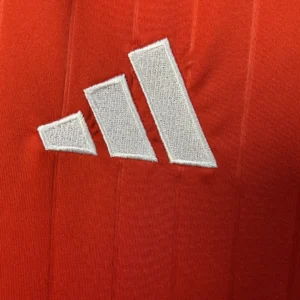 2025/2026 Egyptian National Home Jersey