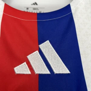 2025/2026 Lyon Home Jersey