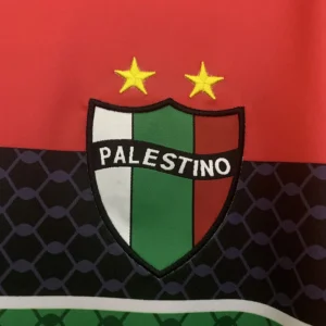 2025/2026 Palestinian Jersey