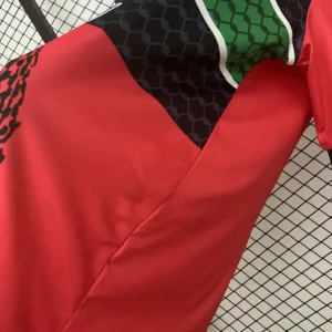 2025/2026 Palestinian Jersey